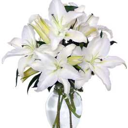White lilies arranged in a clear glass vase