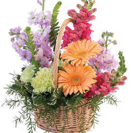 Basket arrangement with orange gerbera daisies and pink and lavender flowers