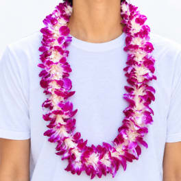 Person wearing a purple and white flower lei over a white T-shirt