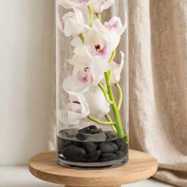 White orchids in a tall glass cylinder with black stones