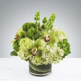 Irish Bells by BloomNation™