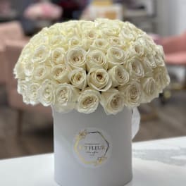 Elegant white
