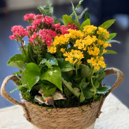 Basket arrangement of pink and yellow flowers with glossy green foliage