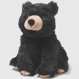 Black teddy bear plush with a beige snout and paws