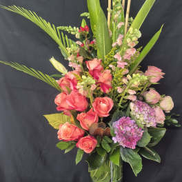 PINK CALYPSO SERENADE
