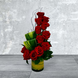 Lovely Roses