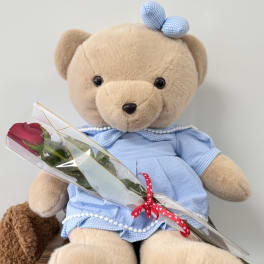 Teddy bear in a blue dress holding a wrapped red rose