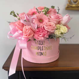 Pink Cylinder