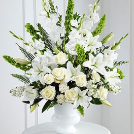 Morning Stars Arrangment
