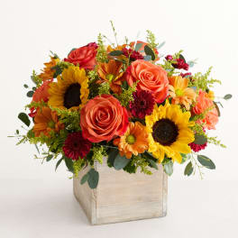 Mixed bouquet of roses and sunflowers in a square wooden box