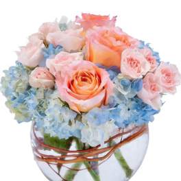 Pastel roses and blue hydrangeas arranged in a round glass vase