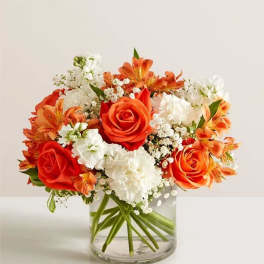 Loving Sentiments™ Peach, Orange & White