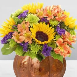 Golden Harvest Pumpkin