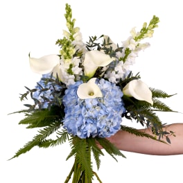 Special For Columbia Graduation