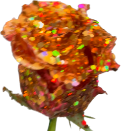 Roses any color