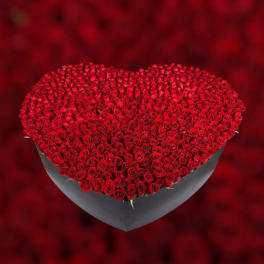 Heart-shaped box filled with red roses
