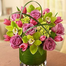 Isabel - Lots of lavender flowers! Orchids, Roses, Tulips