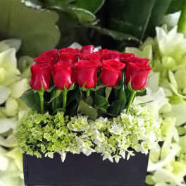 You are my love