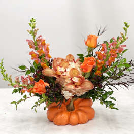Natures Bounty Pumpkin