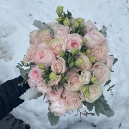 Handheld bouquet of pale pink roses with silvery foliage against snow