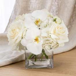 White roses and orchids arranged in a clear square vase