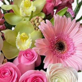 Pink gerbera daisies, roses, and green orchids in a mixed bouquet