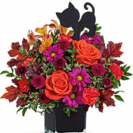 Colorful floral arrangement in a black container with cat silhouettes