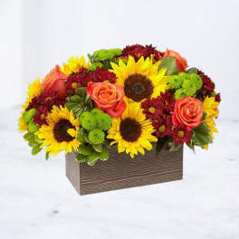 Sunflower and rose arrangement in a rectangular wooden box
