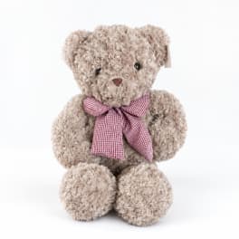 Plush teddy bear with a red gingham bow on a white background