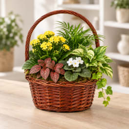 Basket of mixed potted plants with yellow and white flowers