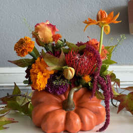 Blooming Pumpkin Patch