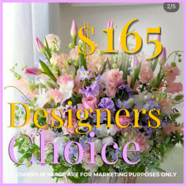 Designers Choice (Vase or Container)