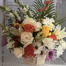springy basket