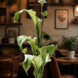 Tall arrangement of green calla lilies and a sunflower in a vase