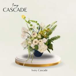 Ivory floral cascade arrangement in a dark vase
