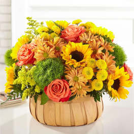Basket arrangement of sunflowers, roses, and mums in bright yellow and coral tones