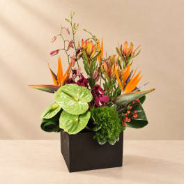 Tropical floral arrangement in a black square container with orange bird-of-paradise and green anthuriums