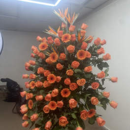 Tall orange rose and gerbera daisy arrangement with bird of paradise flowers