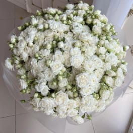 Large bouquet of white roses with many buds wrapped in pale paper