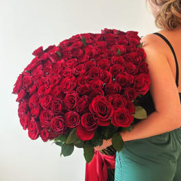 Large bouquet of red roses held by a woman