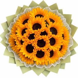 Bouquet of bright yellow sunflowers wrapped in pale green paper