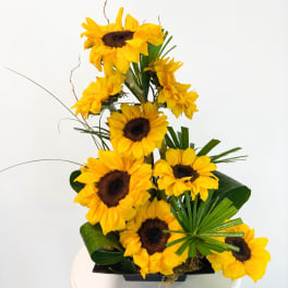 Sunflower arrangement in a black container with tropical leaves
