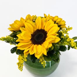 Yellow sunflowers arranged in a green glass vase