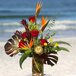 Roses & Paradise