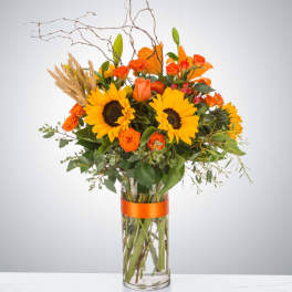 Autumn Vibrant Splendor
