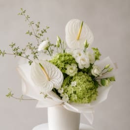 White anthuriums and green hydrangeas in a white vase