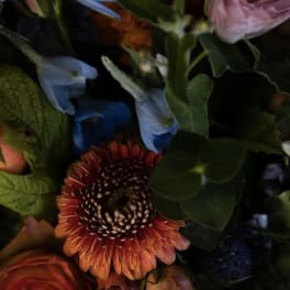 Mixed bouquet with orange gerbera daisy and blue flowers