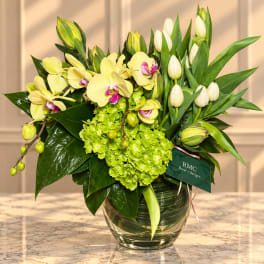 Yellow orchids and white tulips arranged in a glass vase