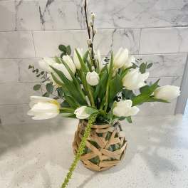 Tranquil Tulip
