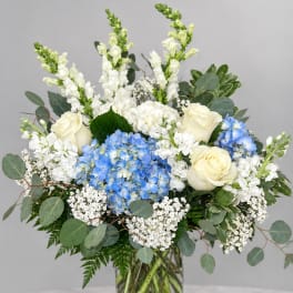 Blue hydrangeas and white roses in a glass vase with mixed greenery